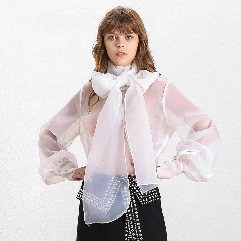 Weekend Discounts to Enjoy Sheer Bow Tie Blouse